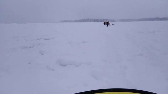 снегоход Буран за табуном лошадей