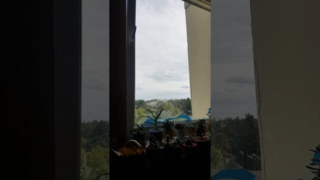 Любви старинные туманы