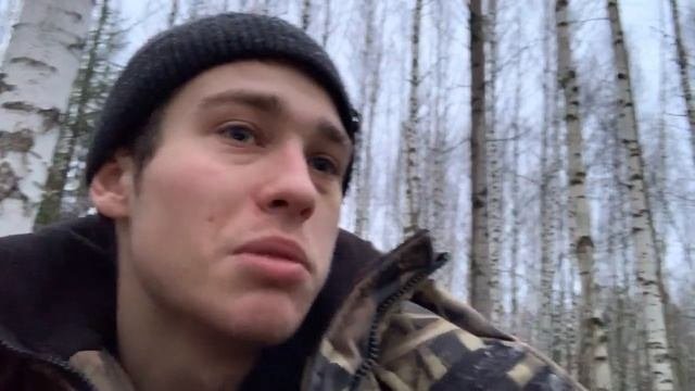 Охота на зайца, как она обычно происходит