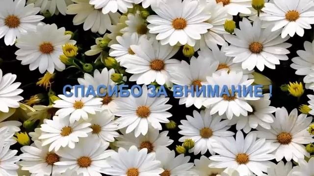 Актинидия --- декоративная лиана с вкусными ягодами