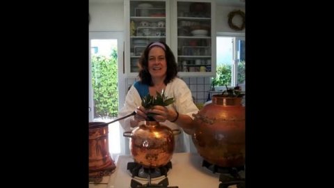Bay Laurel Distillation for Hydrosol - 2011