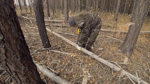 УКЛАДЫВАЮ ПОЛ В ХИЖИНЕ. ВСТРЕТИЛ ЗАЙЦА. 16 ДЕНЬ СТРОЙКИ. SOLO BUSHCRAFT CAMP. BUILDING A HUT.