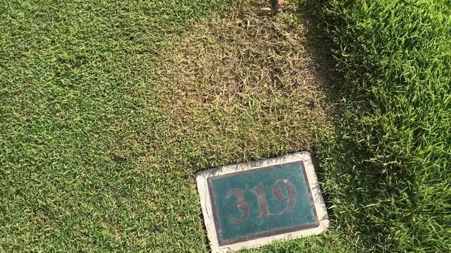 Вторая игра Ромчика на "Laguna Golf Course" | MY DREAM GOLF