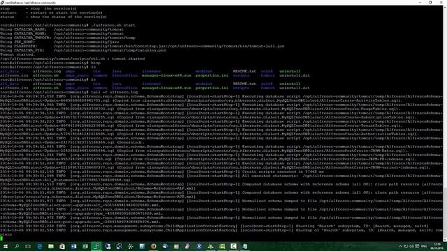 Установка Alfresco ECM в облако часть 1