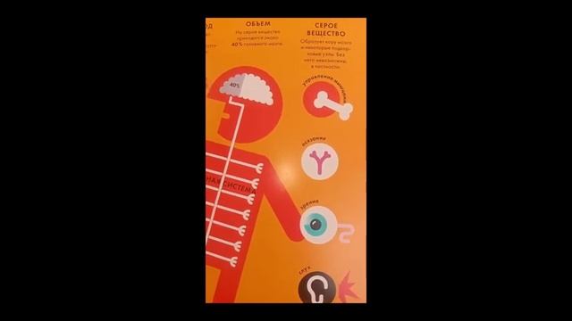 Питер Гранди. Тело человека. Головной мозг