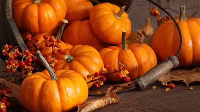 10 причин кушать тыкву каждый день. Полезные свойства тыквы