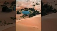Пустынный оазис в ОАЭ