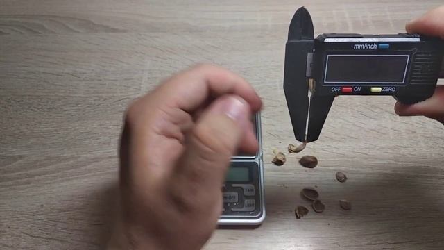 Ивантеевский красный, Тамбовский ранний. Первые сигналки,  первые выводы.