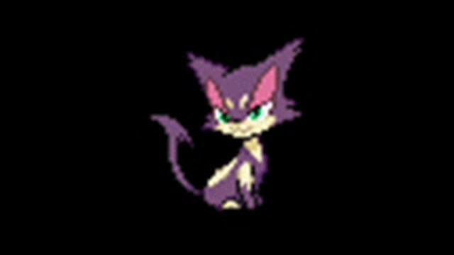 Purrloin Pokemon Analysis!