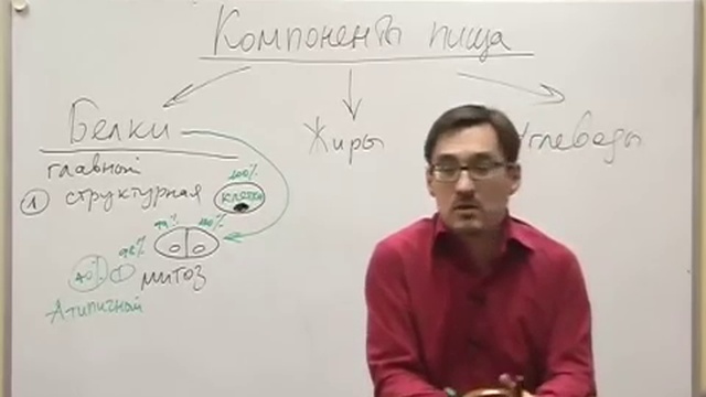РАК - мало животного БЕЛКА