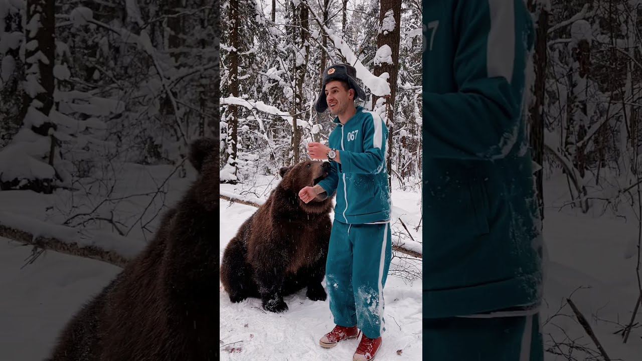 Не повторять! Выполнено профессионалами!!! #медведь #russia