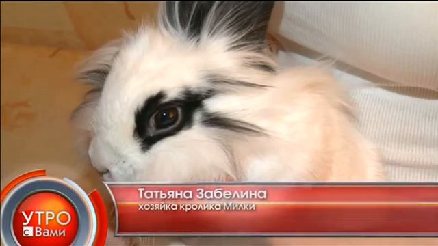 Потеряшки - "Утро с Вами" 31.05.2013