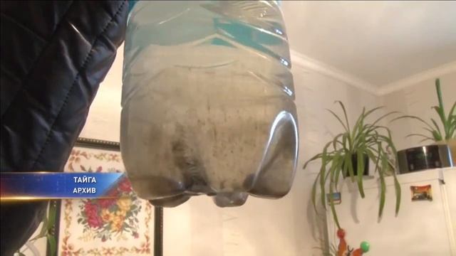 Главу Тайги подозревают в сокрытии информации об опасной воде