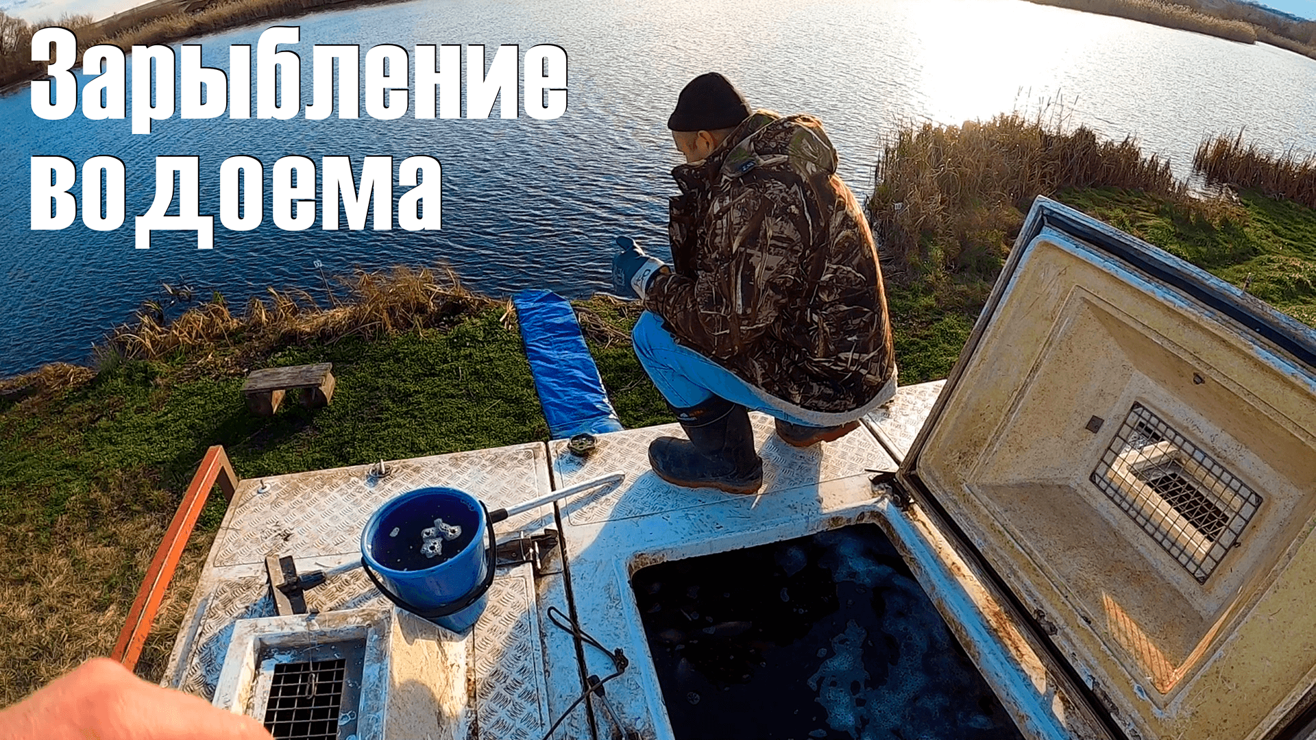 Зарыбление водоема "Новая рыбалка" в Белгороде. 1.5 тонны карася!