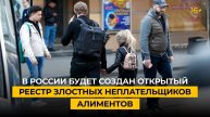 В России будет создан открытый реестр злостных неплательщиков алиментов