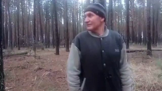 Клавдиевский ЛГ ч#3. Вырубили леса на 30 % больше, чем положено