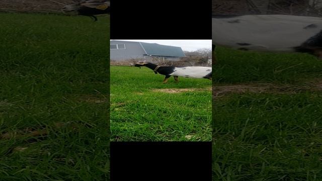 VID20231113143400.mp4