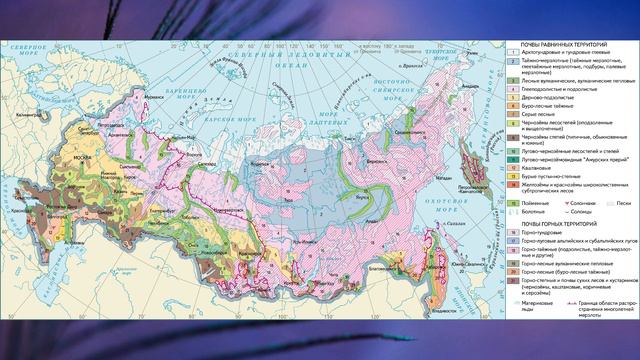 §51 "Великие равнины России - Восточно-Европейская и Западно-Сибирская", География 8 класс, Полярна