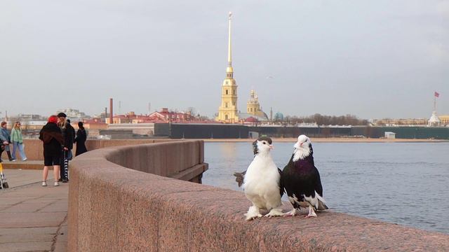 Петербург. 1 апреля 2024