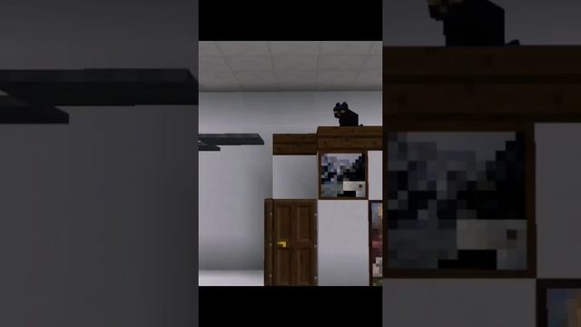 Я БЫК!!! #мем #minecraft  #майнкрафт #кот #тикток #tiktok