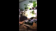 Unboxing PLANT HAUL #1 | Assorted Plants From SOUTH COTABATO