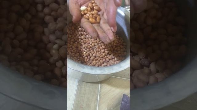 mong phalli store tarika