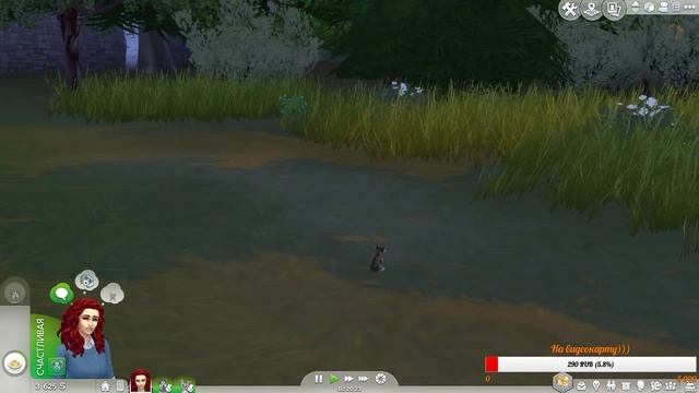 ?The Sims 4:КОШКИ И СОБАКИ:Прямая трансляция ?