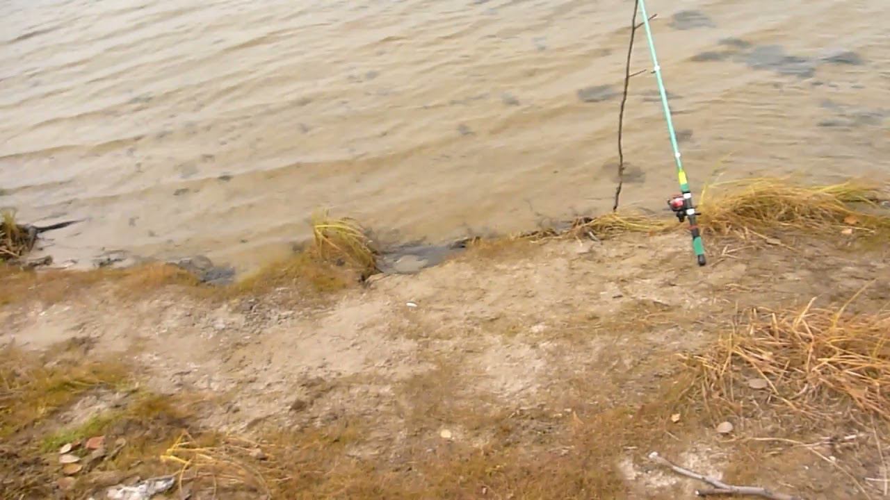 Когда не ловится! А ты делаешь доброе дело.