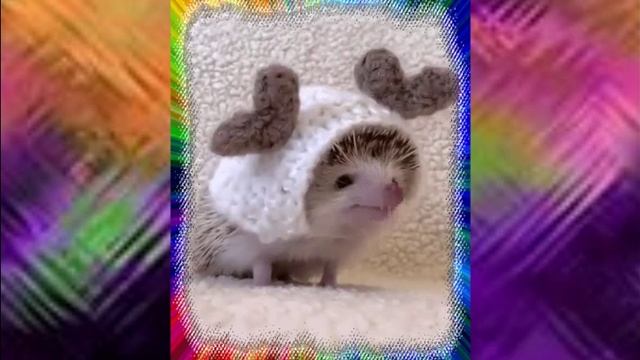 ежки-матрешки