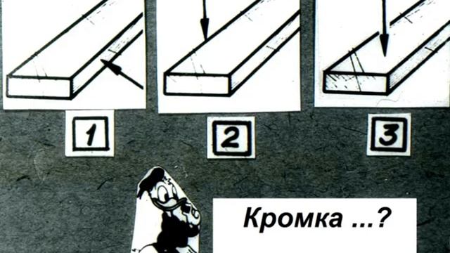 Материаловедение древесина