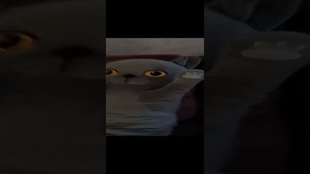 Трэк С Пуськой