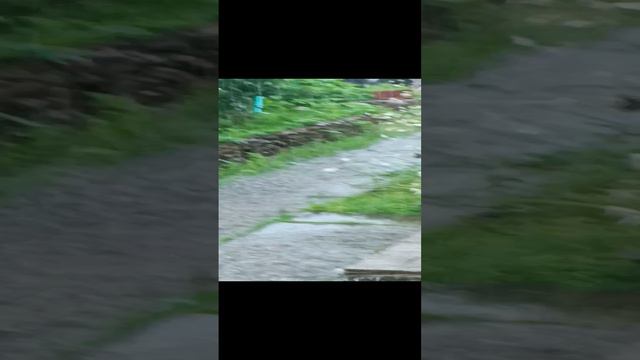дождь