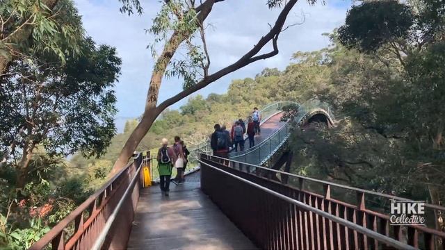Kings Park Highlights Tour
