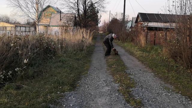 Такса. Команда РЯДОМ.