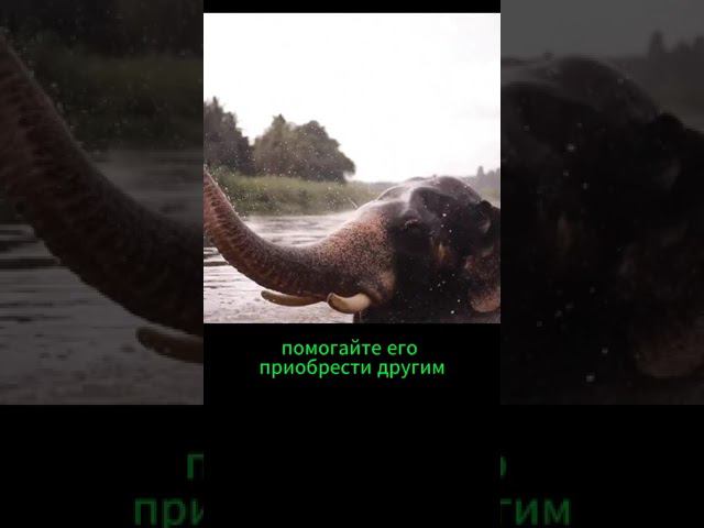 Радость, любовь и признание. Лайфхак