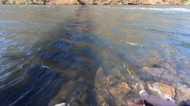 Fishing Under Spillway with Berkley Gulp Lures (So Many Fish)