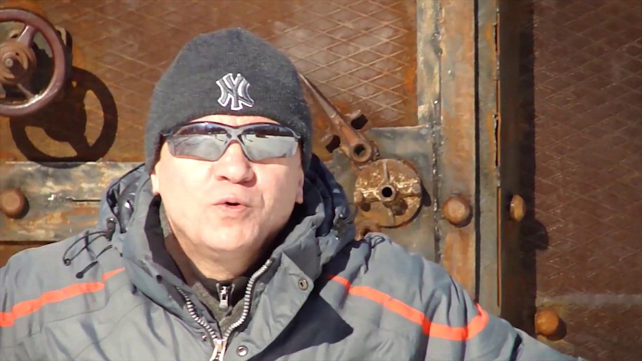 Попугаи клип