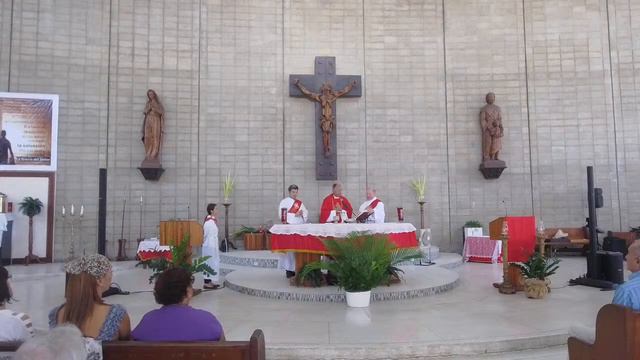 Domingo de Ramos | Parroquia San Luis Rey