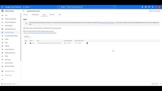 Delphi Google Cloud APIs