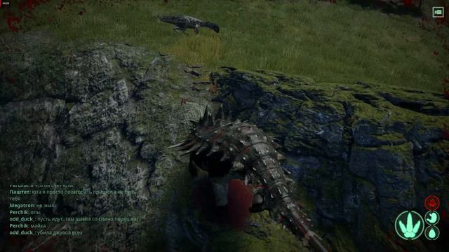 The Isle Анкила VS 5 Дилок
