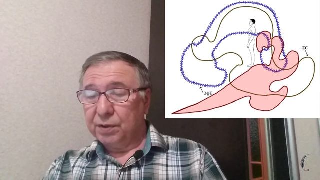 Консультация по причинам рака молочной железыРМЖ и цистита. Экстрасенсорная диагностика.