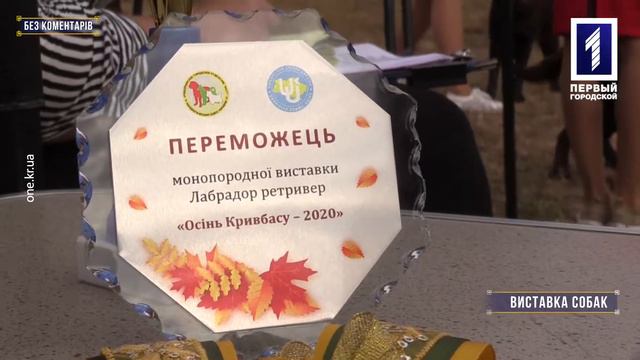 Без коментарів: виставка собак у Кривому Розі