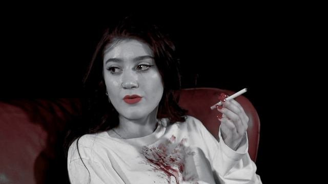 The Cigarette Duet - Princess Chelsea Unofficial Music Video