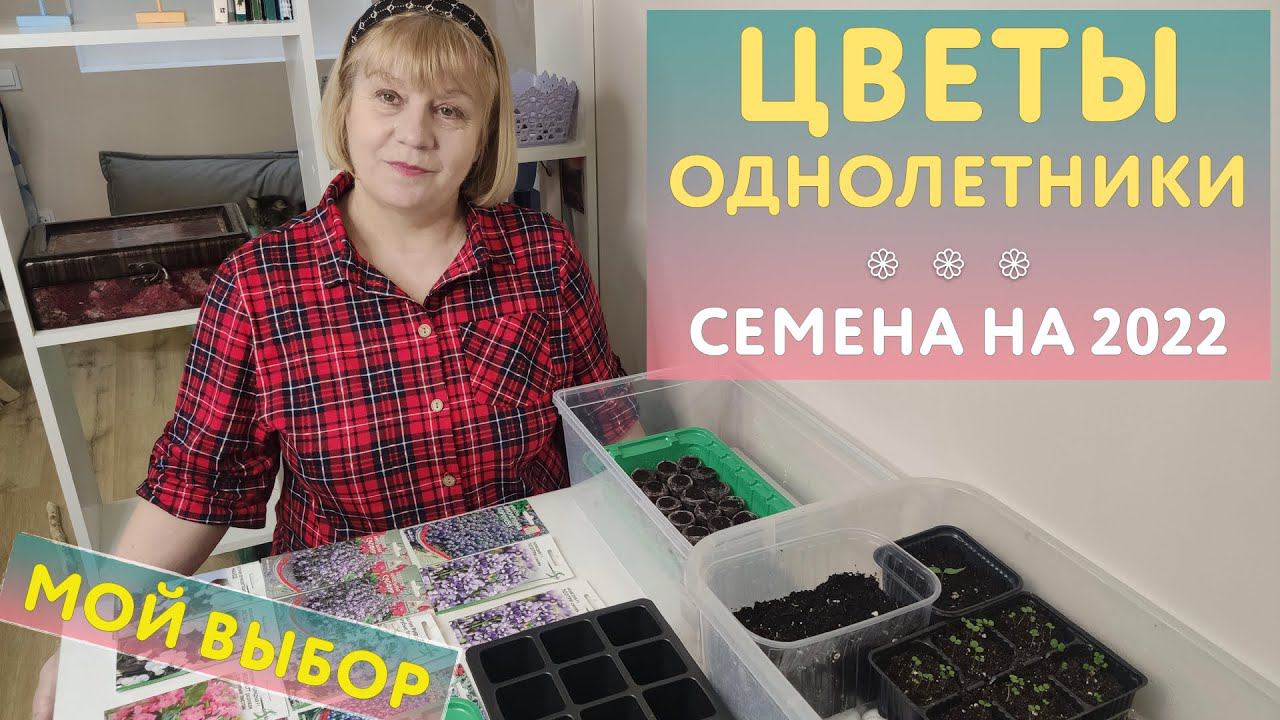 Семена цветов на 2022 год: мой выбор однолетников, тонкости посева. Лобелия, алиссум, бальзамин и др