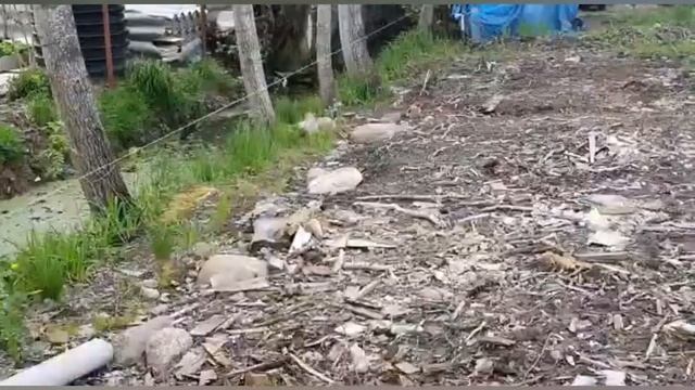 Облогородил приятелю дачный участок.