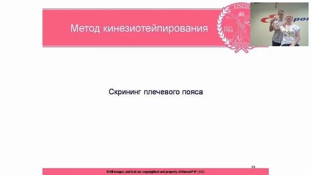 СКРИНИНГ ТЕСТЫ КИНЕСИО ТЕЙПИНГА  КОНЦЕПЦИИ КИНЕСИО ТЕЙПИНГА ВЕБИНАР