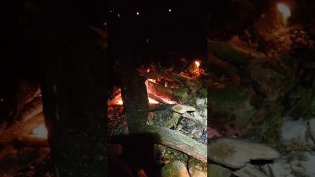 The recipe for the perfect mushroom soup?? Идеальный грибной суп на костре в походе???