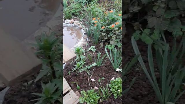 ВОДОЁМ СВОИМИ РУКАМИ 😍