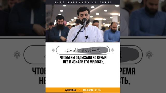 📖 Аль-Касас
🎙 Чтец -  رعد محمد الكردي | Raad Mohammad al Kurdi