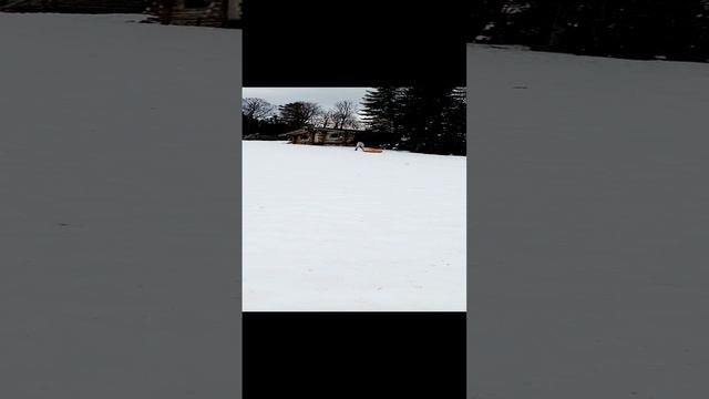VID_20230128_115101